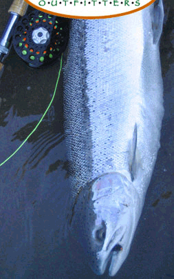 sandy river steelhead fishing fly fishing guides